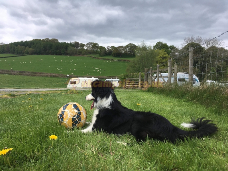 Noyadd Farm