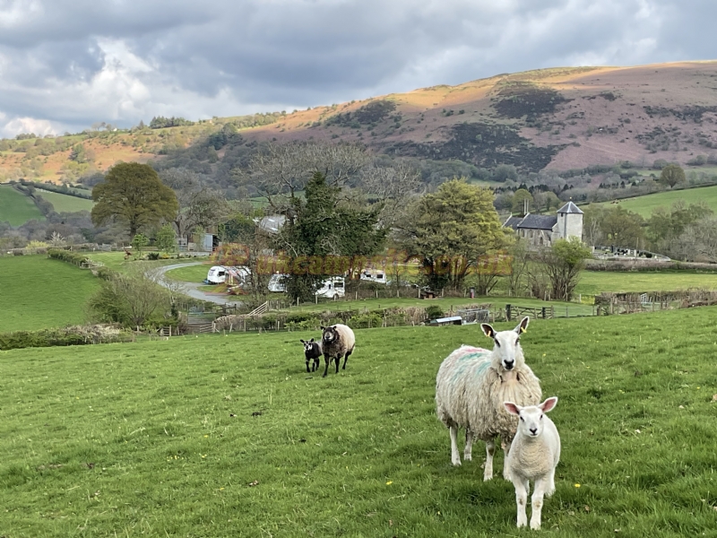 Noyadd Farm