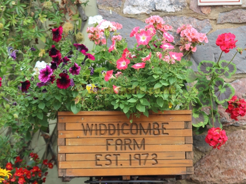 Widdicombe Farm Touring Park