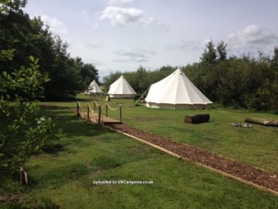 Crooked Willow Campsite