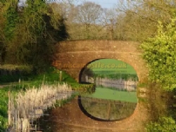 Minnows Touring Park