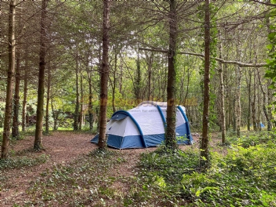Ashbourne Woods Camping