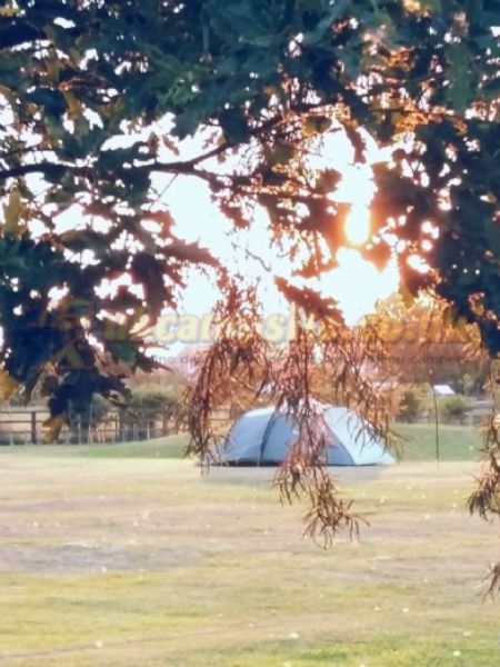 Manor Farm Certificated Site