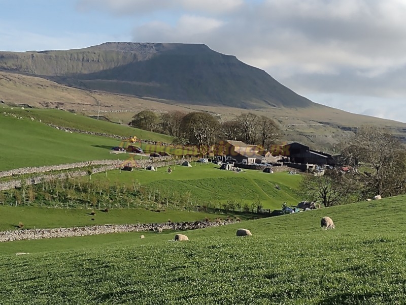 Philpin Farm Campsite