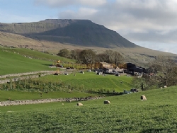Philpin Farm Campsite