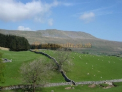 Philpin Farm Campsite