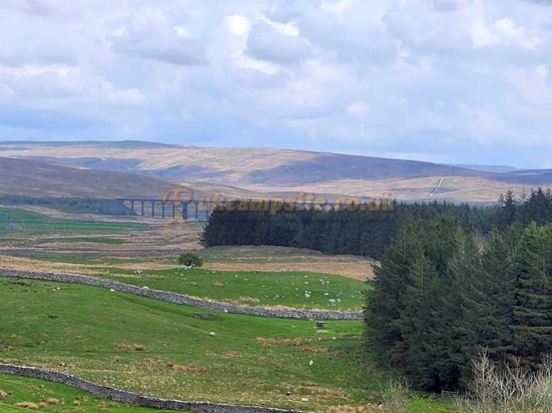 Philpin Farm Campsite