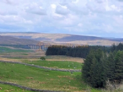 Philpin Farm Campsite