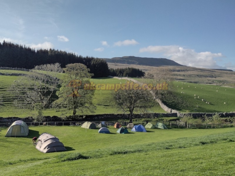 Philpin Farm Campsite