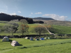 Philpin Farm Campsite