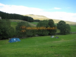 Philpin Farm Campsite