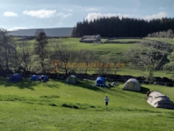 Philpin Farm Campsite