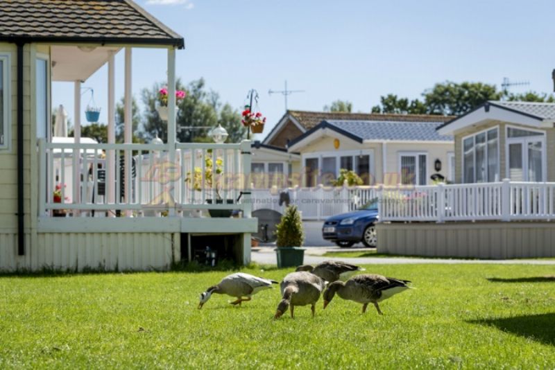 Chichester Lakeside Holiday Park (PHolsUK)