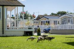 Chichester Lakeside Holiday Park (PHolsUK)