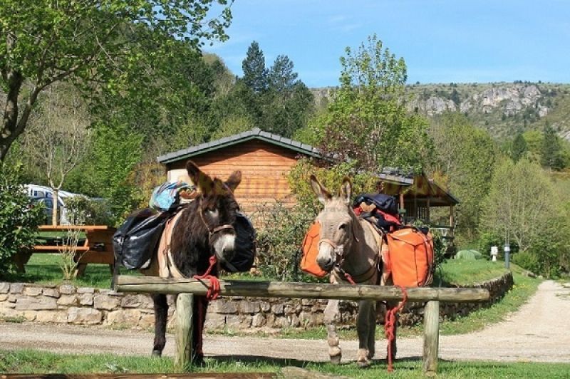 Camping La Cascade