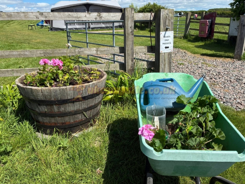 East End Farm Campsite