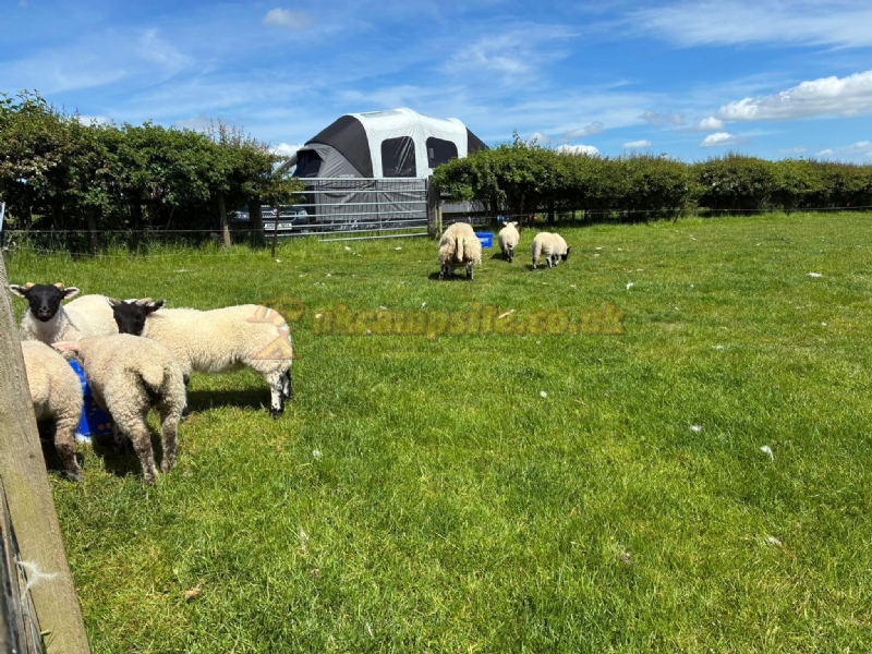 East End Farm Campsite