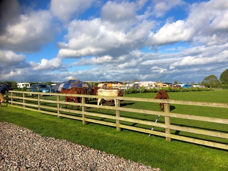 East End Farm Campsite