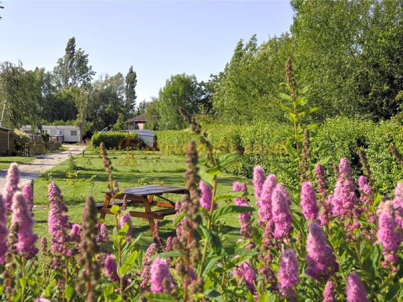 Camping La Petite Foret