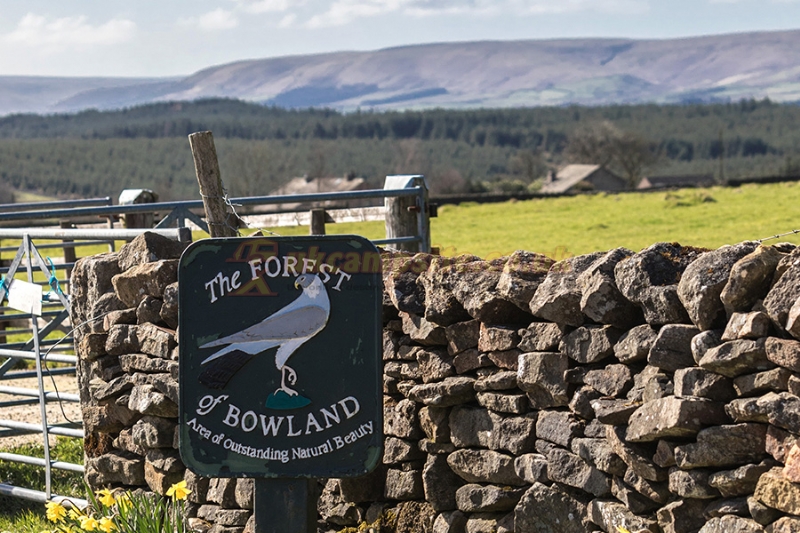 Bowland Fell Holiday Park (PHolsUK)