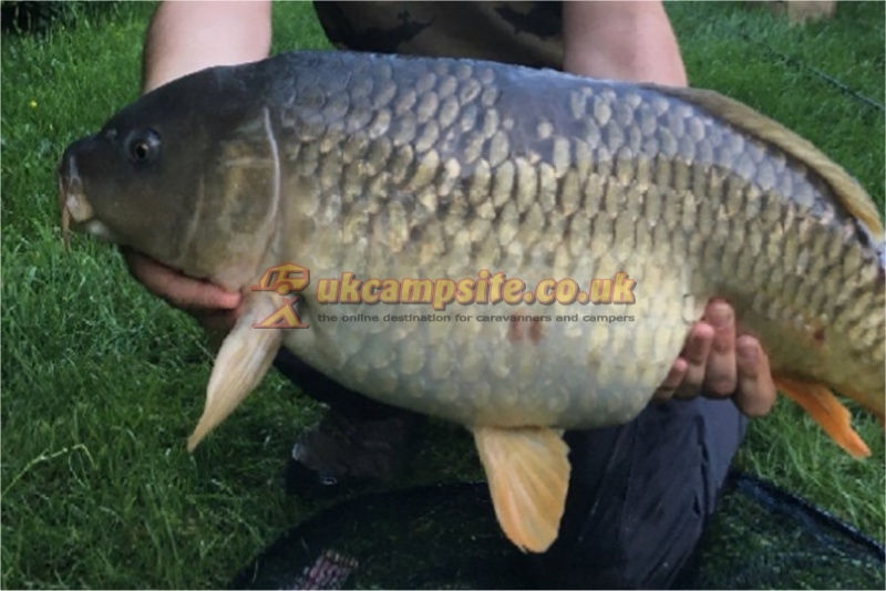 Holly Farm Fishery And Caravan Park