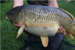 Holly Farm Fishery And Caravan Park