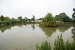 Holly Farm Fishery And Caravan Park