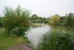 Holly Farm Fishery And Caravan Park