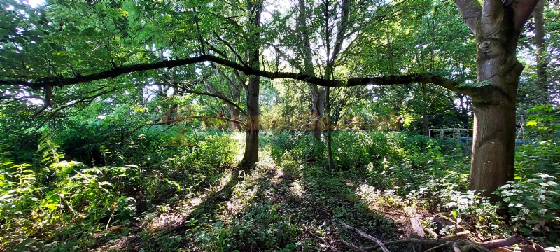 Golborne Caravan Site