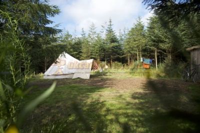 Kitewood Camping
