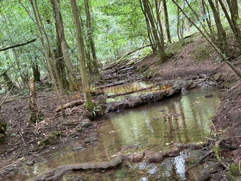 Forest And Wye Valley Camping Site