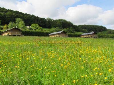 Western Meadows Glamping