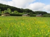 Western Meadows Glamping
