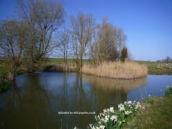 Fairfields Farm Caravan And Camping Park