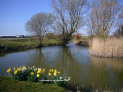 Fairfields Farm Caravan And Camping Park