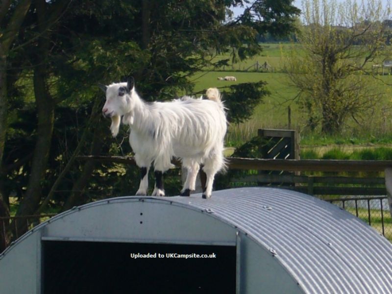 Fairfields Farm Caravan And Camping Park