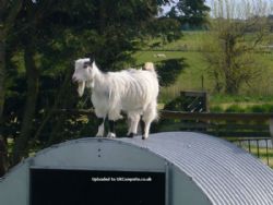 Fairfields Farm Caravan And Camping Park