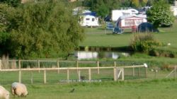 Fairfields Farm Caravan And Camping Park