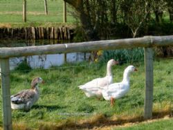 Fairfields Farm Caravan And Camping Park