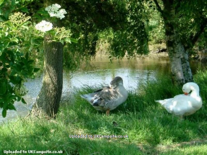 Fairfields Farm Caravan And Camping Park