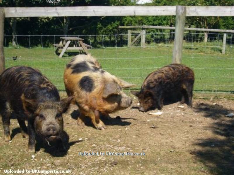 Fairfields Farm Caravan And Camping Park