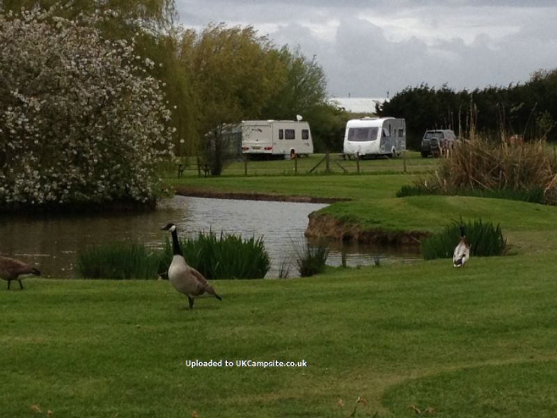 Fairfields Farm Caravan And Camping Park