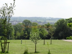 Riddings Wood Holiday Park