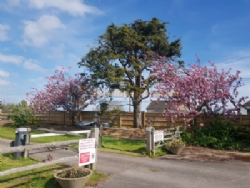 Cannon Camping And Caravan Park