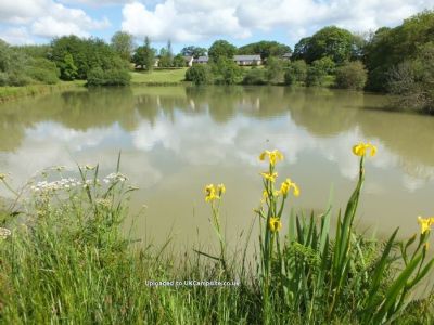 Blagdon Farm Caravan And Camping Site