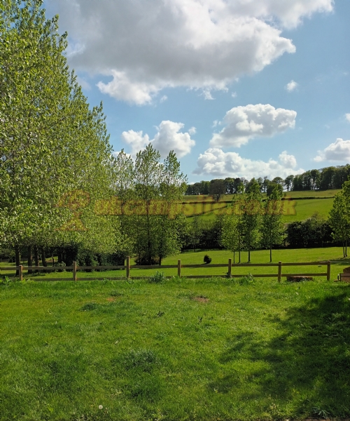 Whitefeather Certificated Site