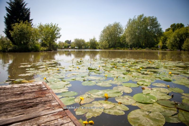Roland House Farm And Lakes