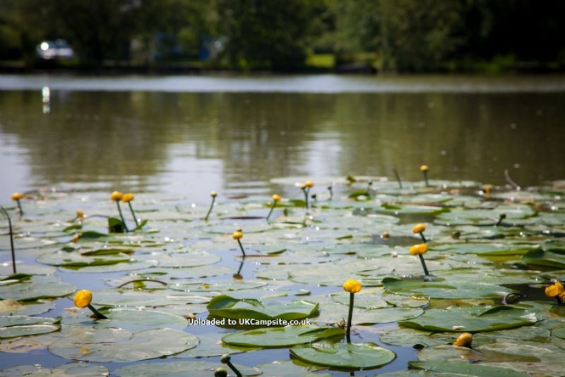 Roland House Farm And Lakes