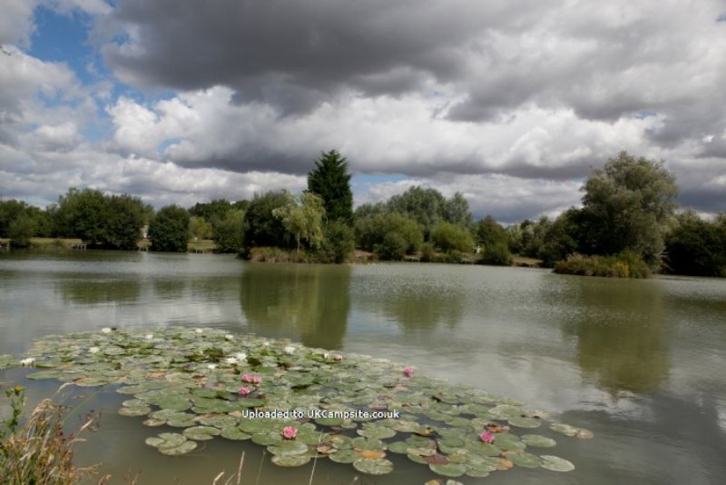 Roland House Farm And Lakes