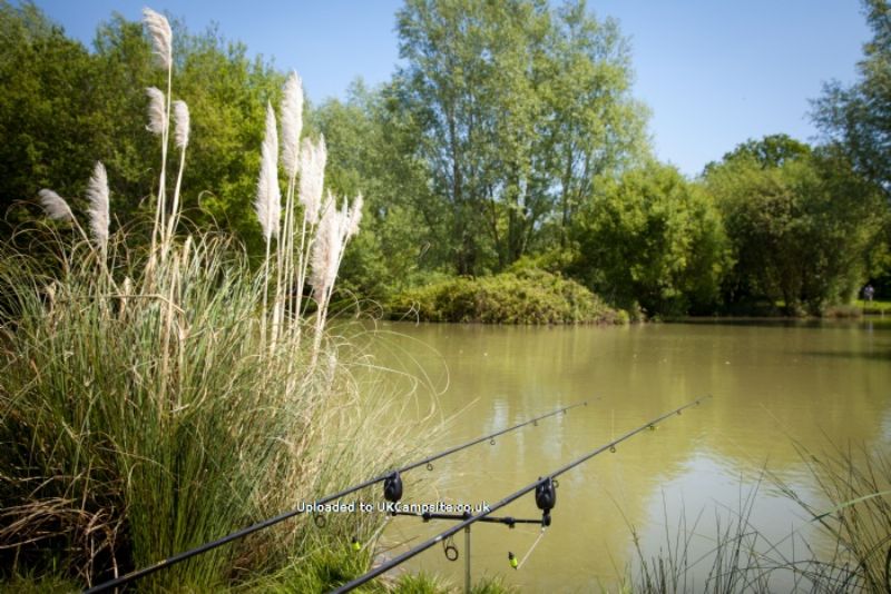 Roland House Farm And Lakes